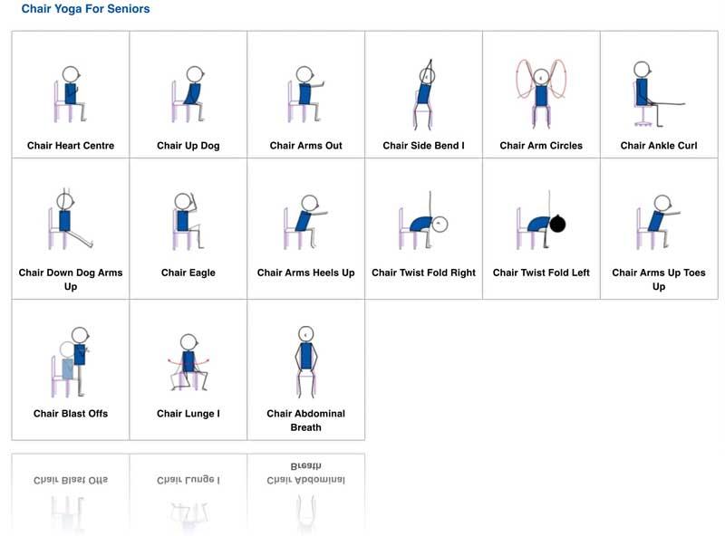 chair exercises over 50 infographic showing full body seated workout routine