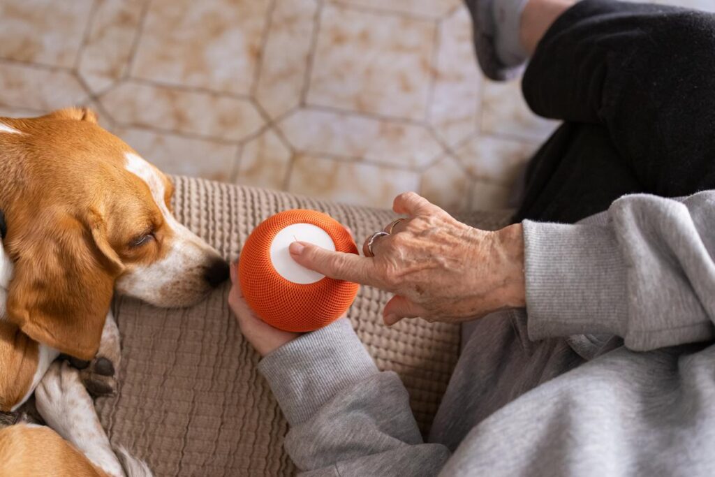 Video doorbells for seniors help homeowners see visitors, improve security, and enjoy greater peace of mind at home.